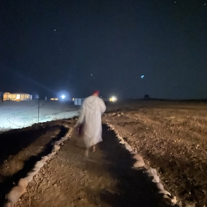 Alla costante ricerca di Mele