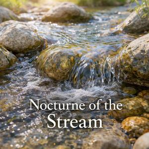 Ноктюрн ручья