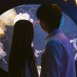 樱花雨