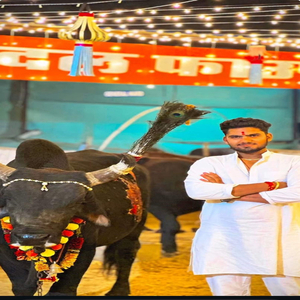 Jaipur Goraksa Dal 2