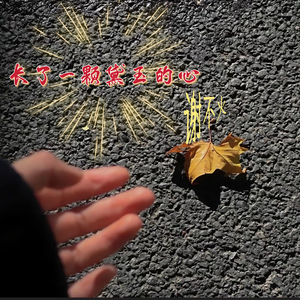 长了一颗黛玉的心