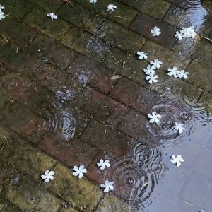 fellinluvwitu<333 (xtasane)