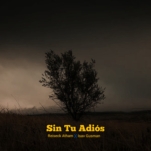 Sin Tu Adiós