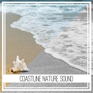 Nature Sounds of Waves