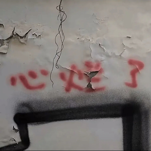 没有理想的人不伤心no.1