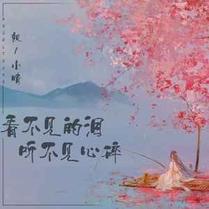 看不见的泪听不见心碎 (DJ默涵版)