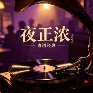 夜正浓