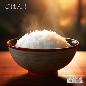 ごはん！