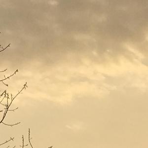 没有意外
