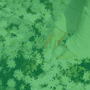 柔和的温泉时刻