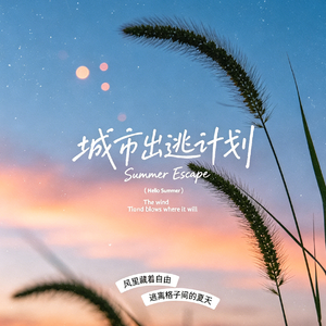 逆风的蚂蚁