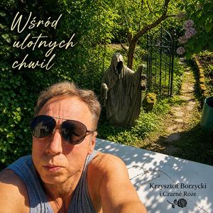 Wśród ulotnych chwil