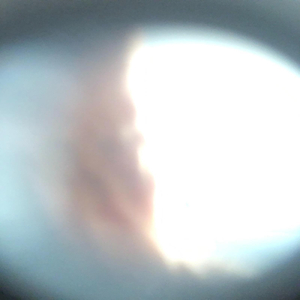 Sun Showers (Instrumental)