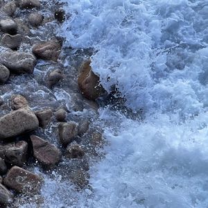 远走（翻自 卫兰）