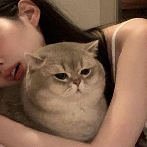 都市丽人生存报告