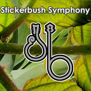 Stickerbush Symphony (From "Donkey Kong Country 2") (Irish Jig Cover)