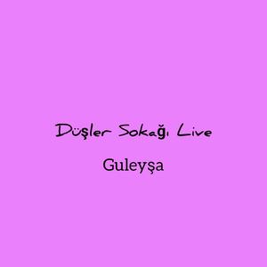 Guleyşa (Live)