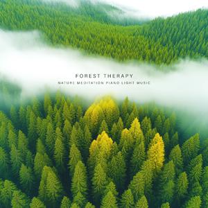 平静之声洗涤疲惫 (流水鸟鸣)