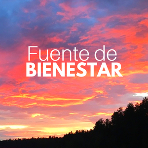Fuente de Bienestar