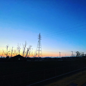 ハナミズキ (feat. 一青窈) [Cover]