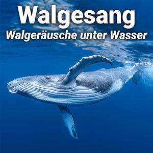 Unterwasserwelt