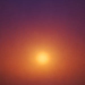 Starlight Between Leaves