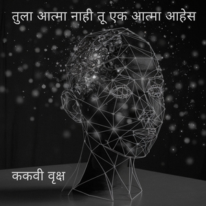 तुला आत्मा नाही तू एक आत्मा आहेस