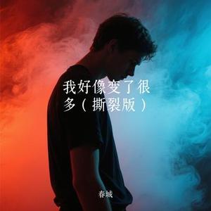 我好像变了很多 (春城 Remix)