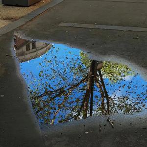 不舍(《斗罗大陆》插曲）