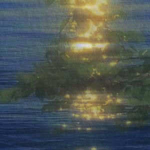 夏日对手