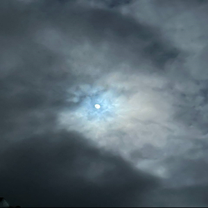 Быстро слился