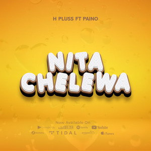 Nitachelewa