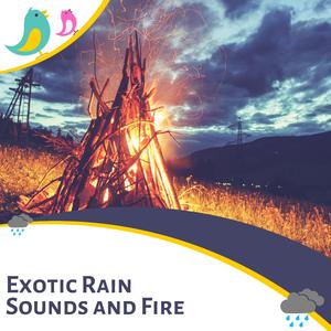 Night Crashing Waves