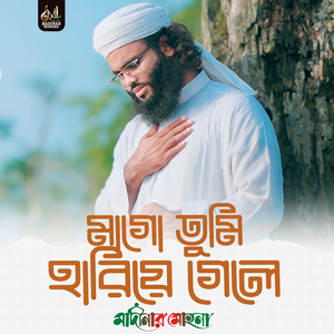 মাগো তুমি হারিয়ে গেলে