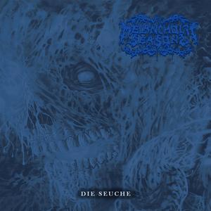 Die Seuche (Single Version)