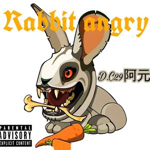 贝吉塔-一生何求（阿元-兔子炸毛/D.C29 Remix）