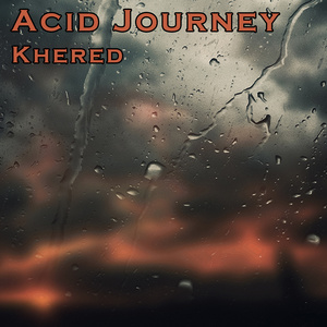 Acid Journey