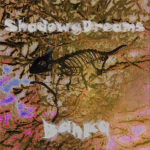 Shadowydreams