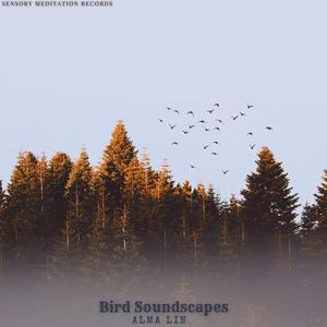 Bird Soundscapes (Nature) (feat. Sensory Meditation, Jasper Whisper, Nina Nalo & Flame Timo)