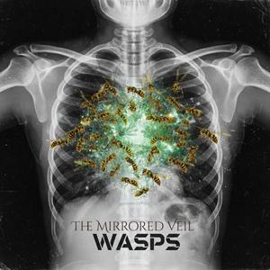 Wasps