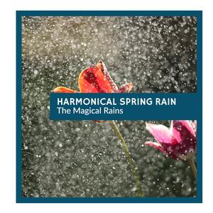 Pitapatting Rain Audio