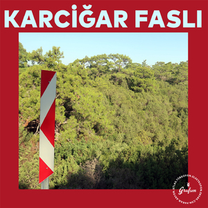 O Ahu Bakışlara Bir Anda Kandın Gönül