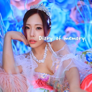 記憶のDiary