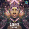 Ascent - Mrak