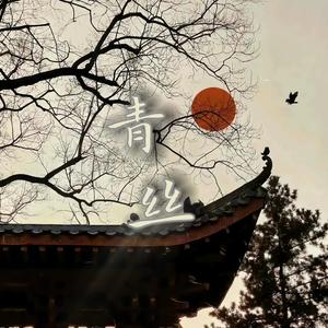 青丝DJ版（抖音热播）