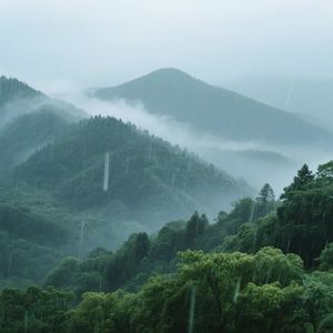 雨丝轻拂过脸庞