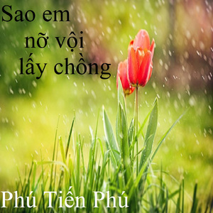 Tình yêu trả lại trăng sao 1
