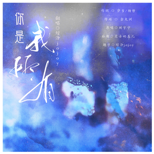 你是我所有（翻自 摩登兄弟刘宇宁）