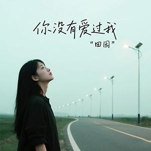 你没有爱过我 (流行版)
