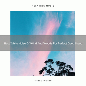 Best White Noise Of Wind And Woods For Perfect Deep Sleep